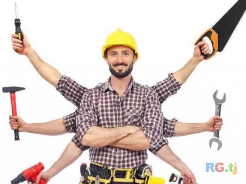 Хизматрасонии мардикор — коргар барои боркашонӣ, кумак, кори вазнин, хизматрасонӣ